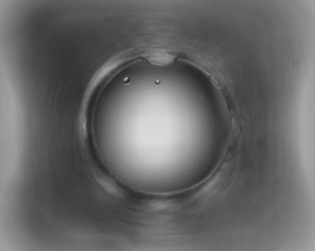 X0000114010246200910091429