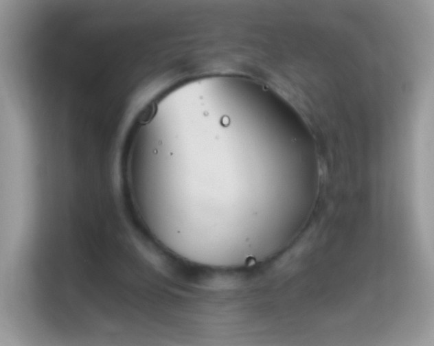 X0000114010248200910091429