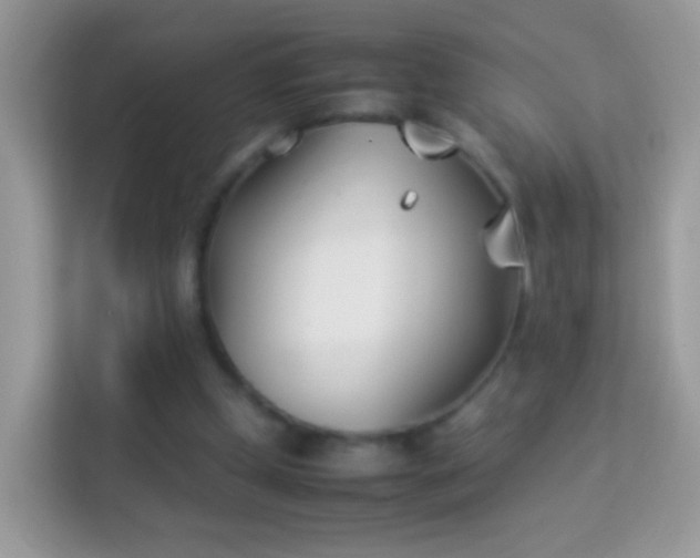 X0000114010249200910091429
