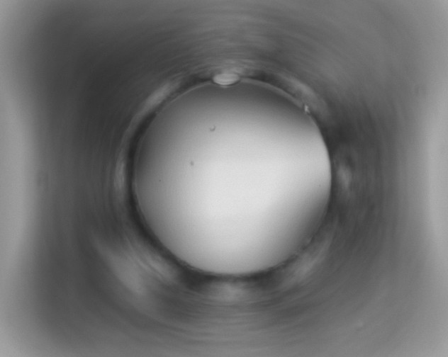 X0000114010250200910091429