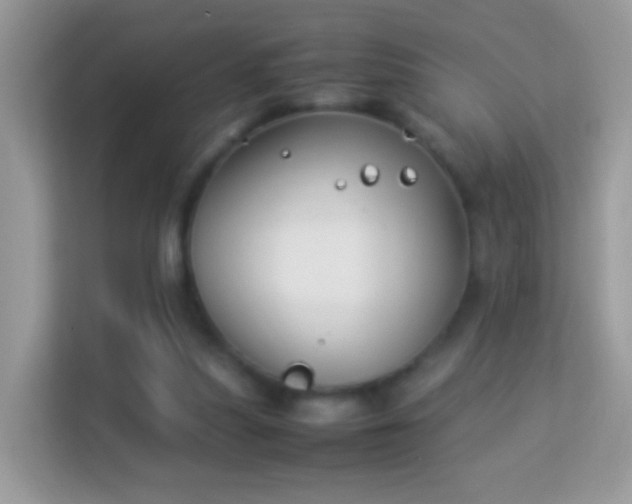 X0000114010251200910091429