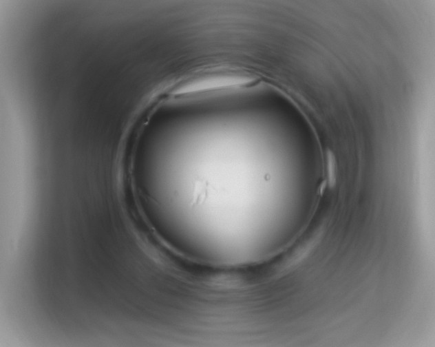 X0000114010252200910091429