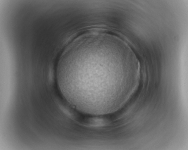 X0000114010255200910091429