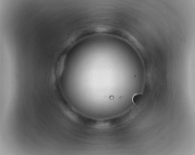 X0000114010257200910091429