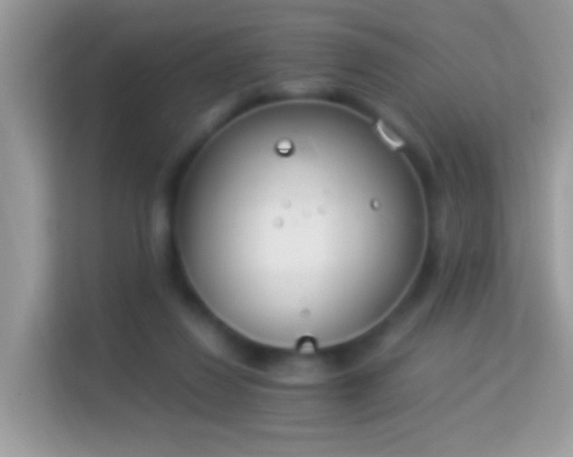 X0000114010260200910091429