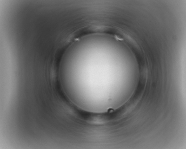 X0000114010268200910091429