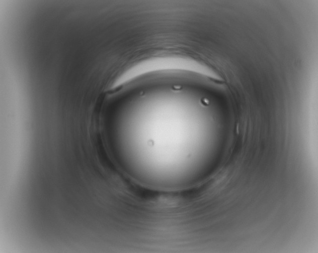 X0000114010272200910091429