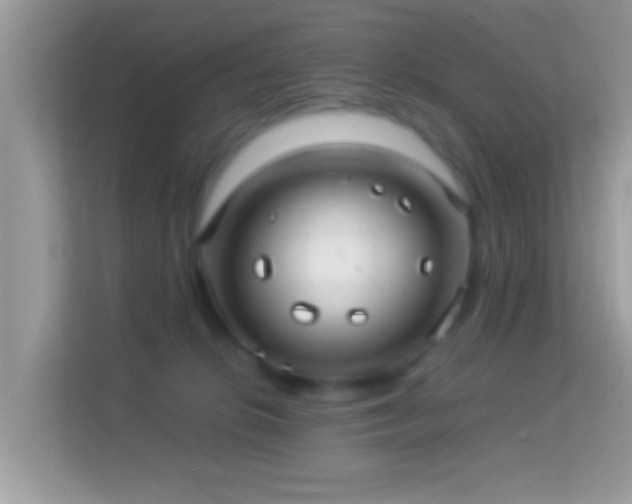 X0000114010276200910091430