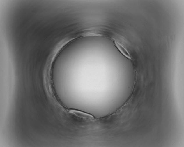 X0000114010289200910091429