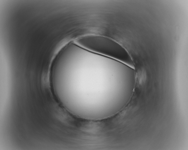 X0000114010292200910091429