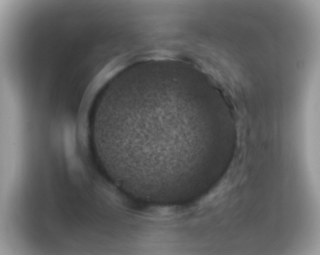 X0000114010295200910091429