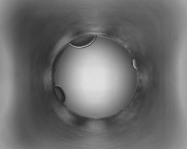 X0000114010296200910091429