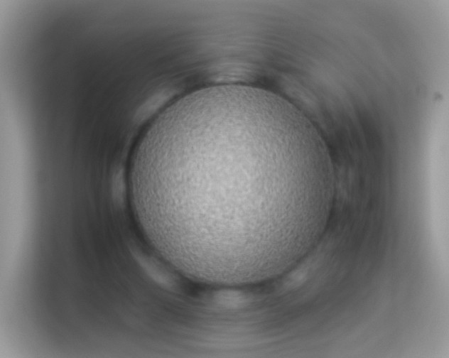 X0000114010298200910091429