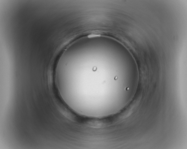 X0000114010299200910091429