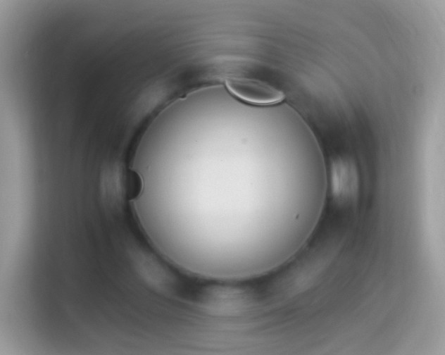 X0000114010300200910091429
