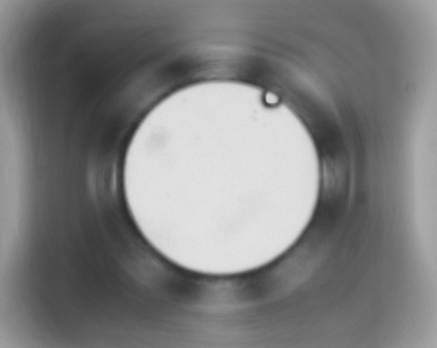 X0000114010301200910091429