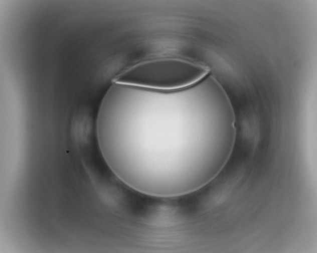 X0000114010308200910091429