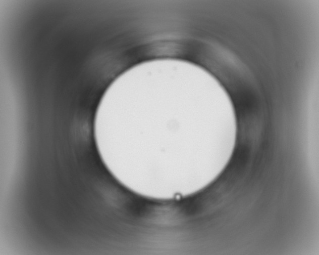 X0000114010309200910091429