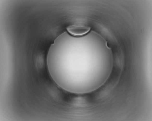 X0000114010312200910091429