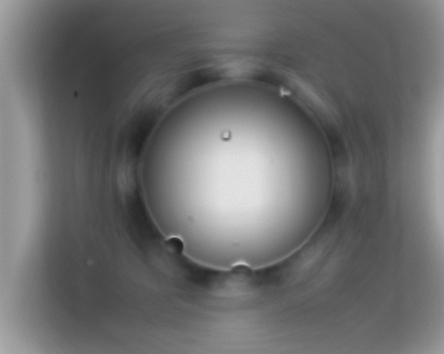 X0000114010325200910091429