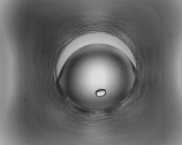 X0000114010329200910091429