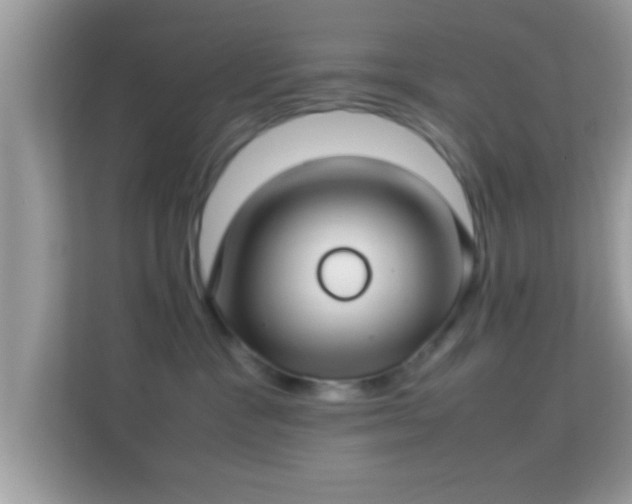 X0000114010333200910091428