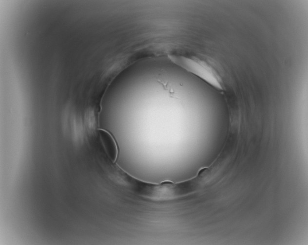 X0000114010335200910091428