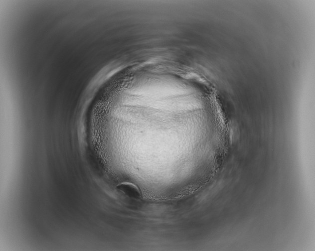 X0000114010339200910091428