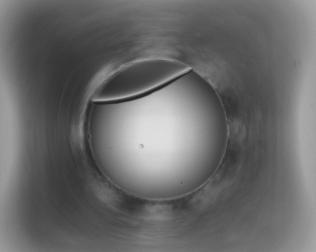 X0000114010340200910091428