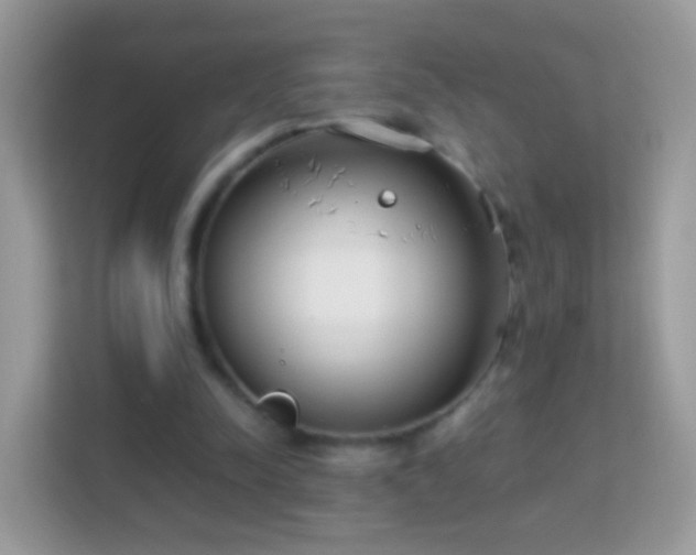 X0000114010342200910091428