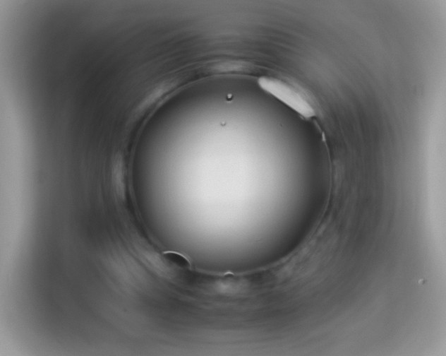 X0000114010345200910091428