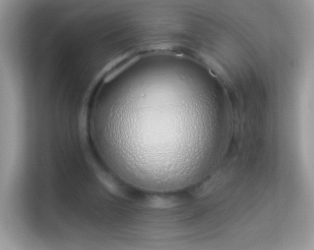 X0000114010346200910091428
