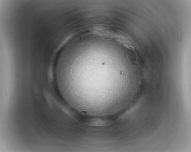 X0000114010347200910091428