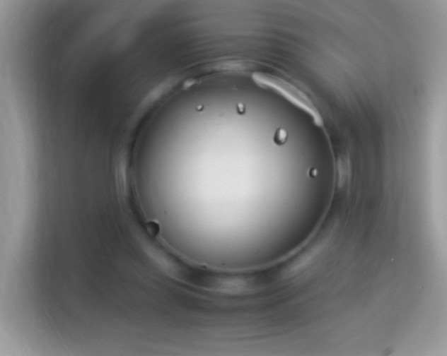 X0000114010349200910091428