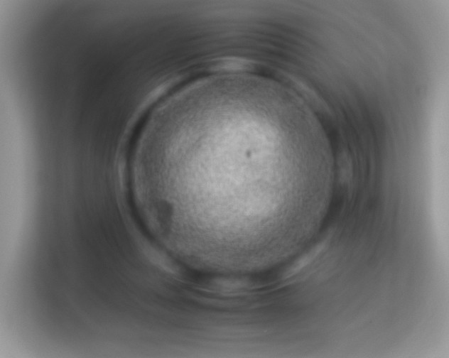X0000114010351200910091428