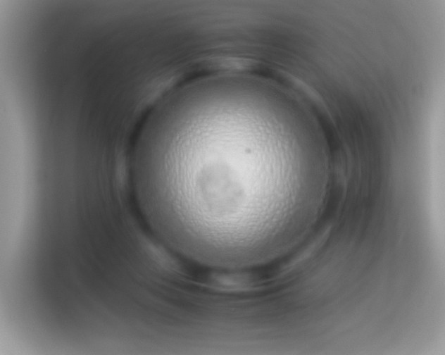X0000114010359200910091428
