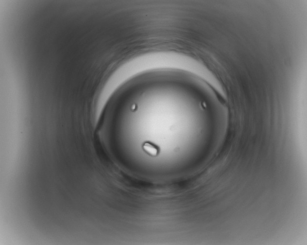 X0000114010368200910091428