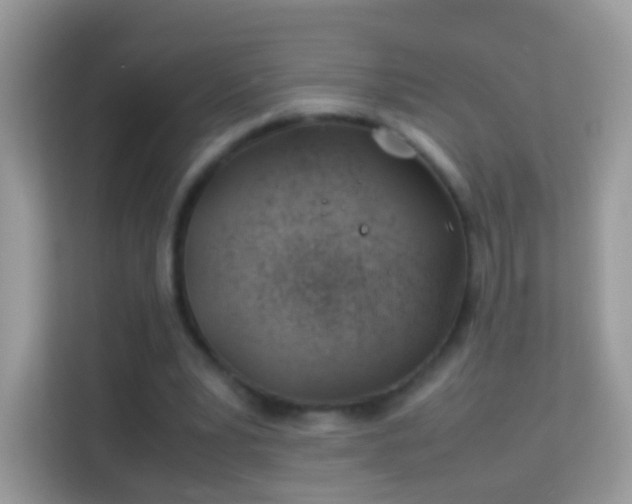 X0000114010391200910091428