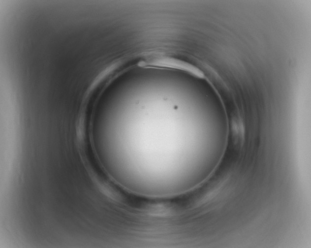 X0000114010396200910091428