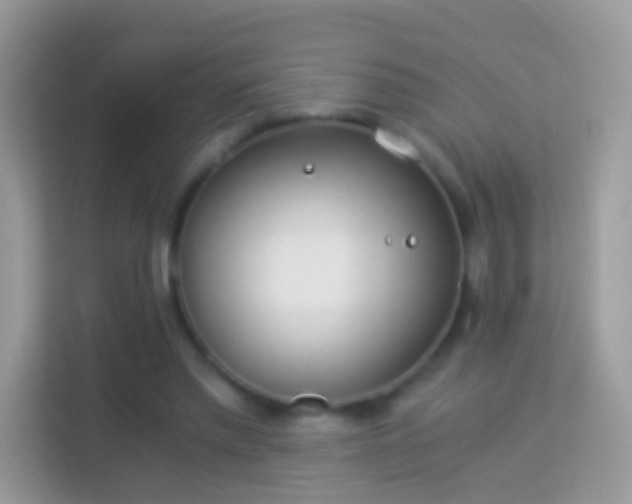 X0000114010397200910091428