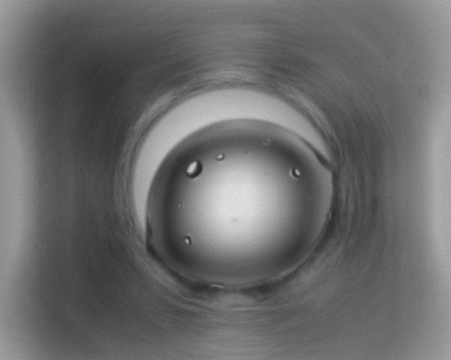 X0000114010399200910091428