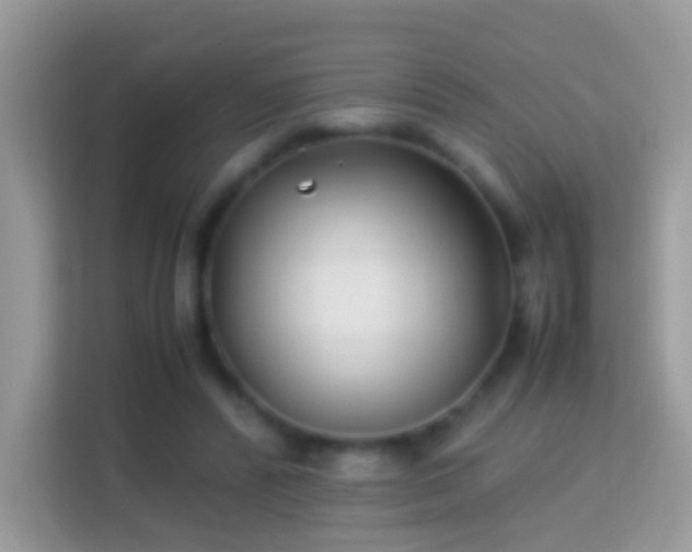 X0000114010400200910091428
