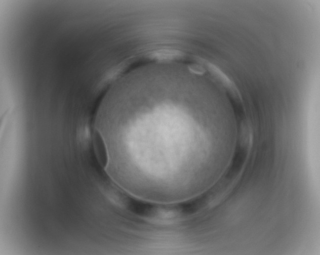 X0000114010405200910091428