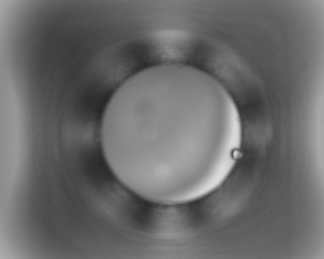 X0000114010419200910091427