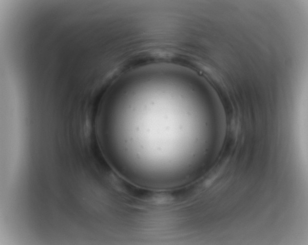 X0000114010424200910091427