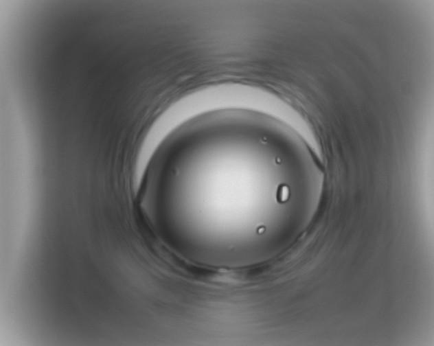 X0000114010425200910091427