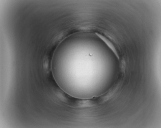 X0000114010428200910091427