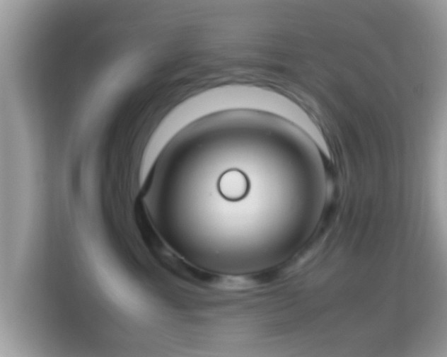 X0000114010429200910091427