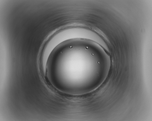 X0000114010436200910091427