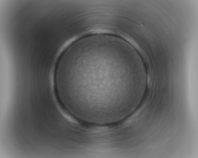 X0000114010438200910091427